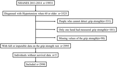 Association of grip strength and comorbidities with all-cause mortality in the older hypertensive adults